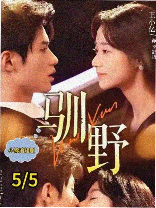 连载剧集长夜灯行海报